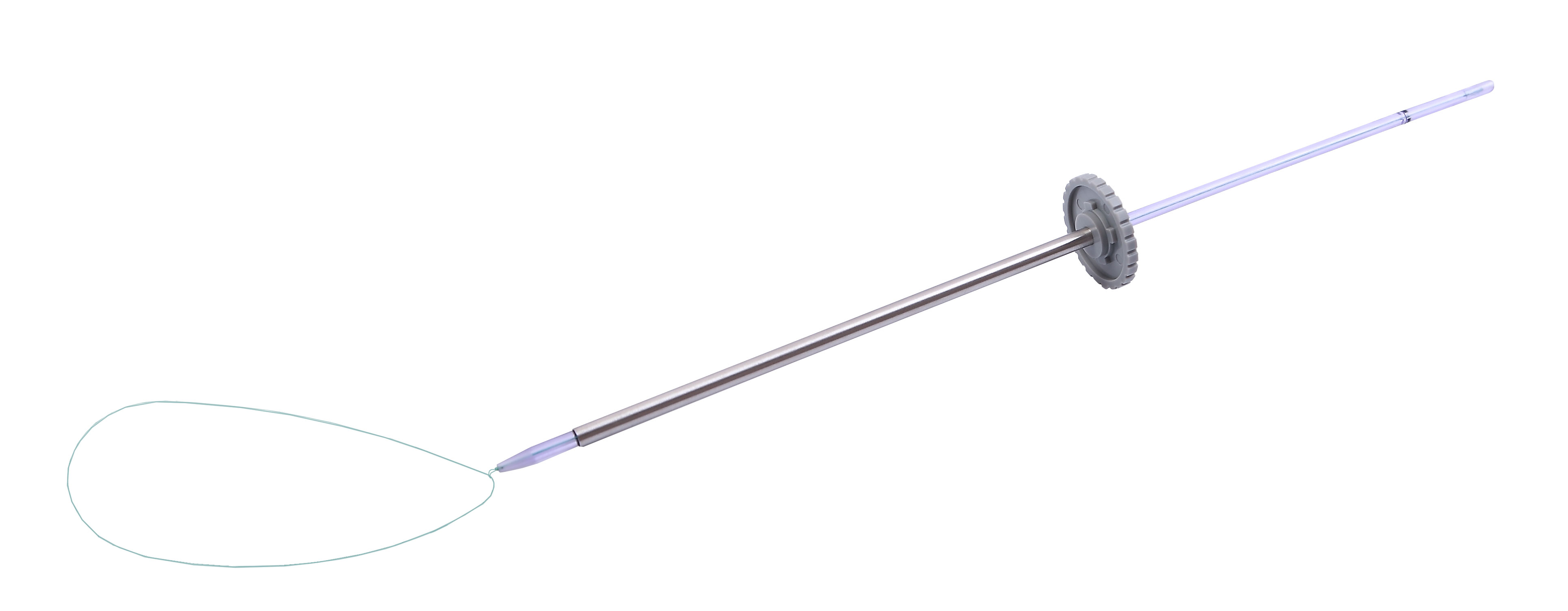 一次性使用圈套器 一次性使用圈套器